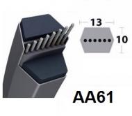 Hexagonale AA61