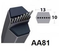 Hexagonale AA81