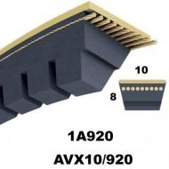 Courroie Trap Auto 1A0920 ou AVX10/920