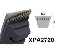 Etroite crantée XPA2720