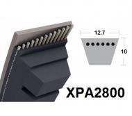 Etroite crantée XPA2800