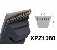 Etroite crantée XPZ1080