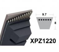 Etroite crantée XPZ1220