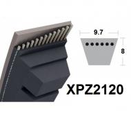 Etroite crantée XPZ2120